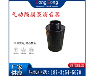 氣動隔膜泵消音器 94810 適用于BQG-350/0.2，BQG-450/0.2機型