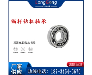 錨桿鉆機(jī)軸承 6203 6204 6205 6206 6007 哈爾濱2RZ軸承